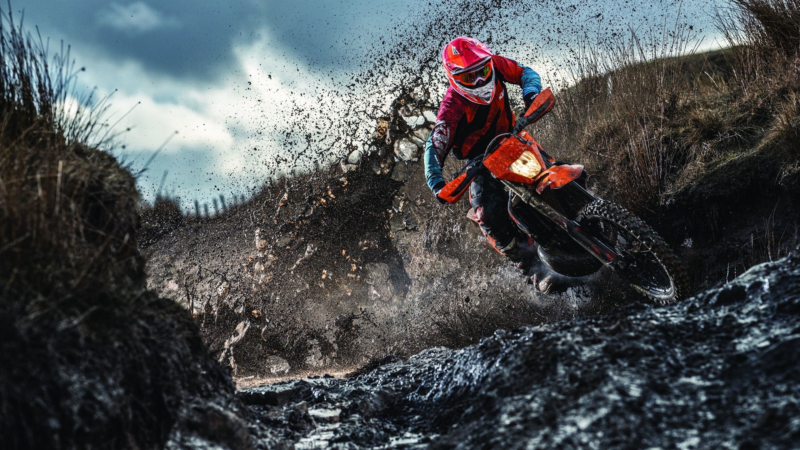 IM电竞官方网站下载-莱万多夫斯基生涯总进球