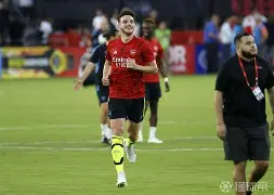 IM电竞官网-巴黎圣曼vs勒阿弗尔