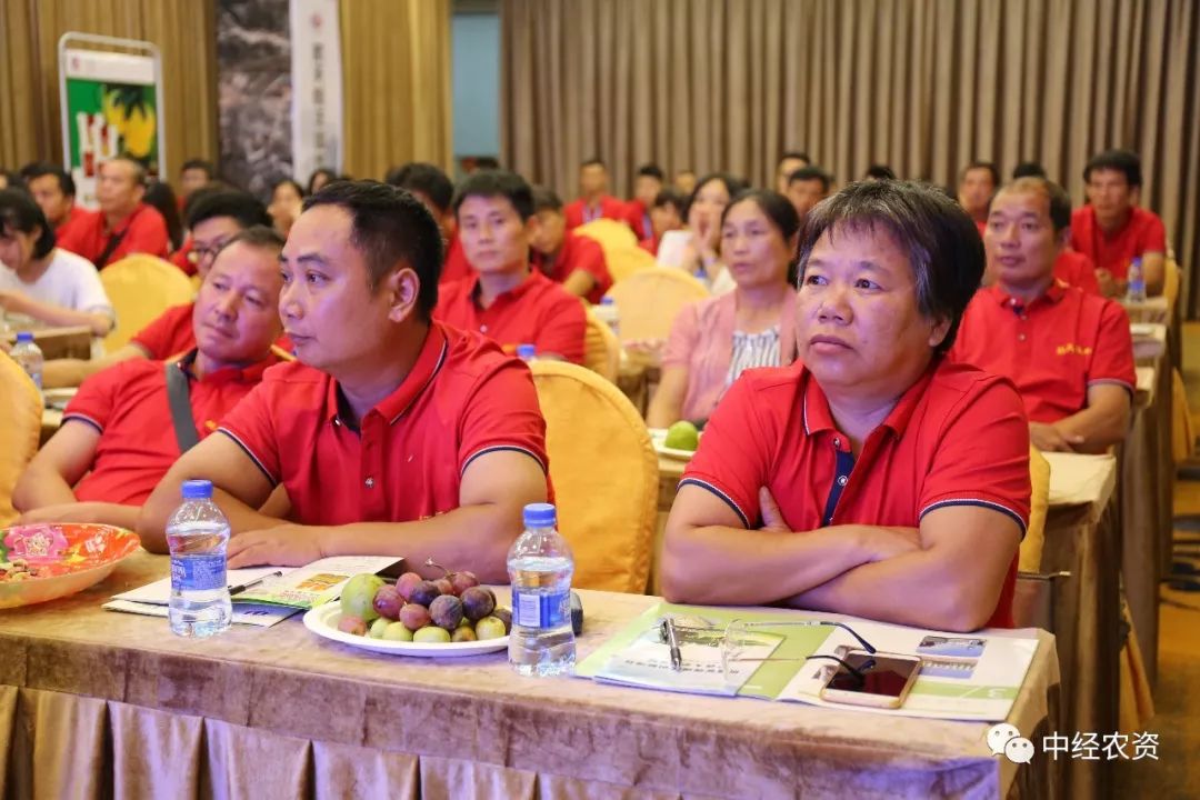 IM电竞官网-广西恒丰进出口贸易有限公司