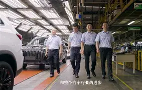 IM电竞官网-足球精英队是什么意思